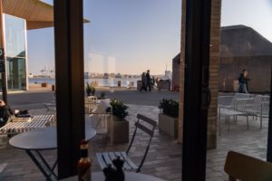 Lighthouse Burgers Aarhus